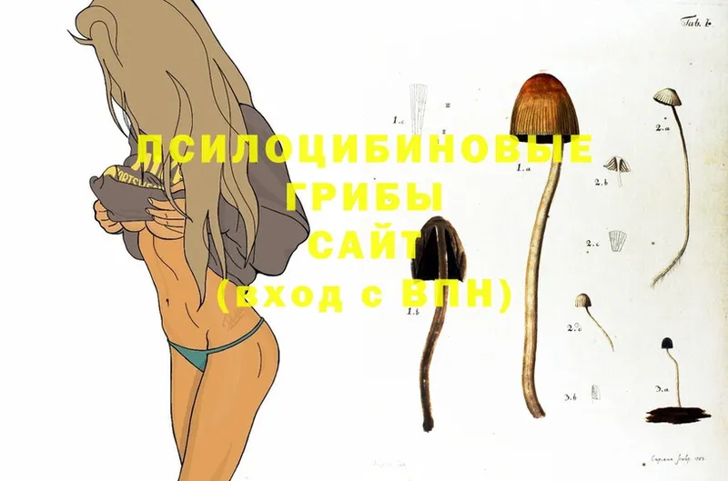 Псилоцибиновые грибы MAGIC MUSHROOMS  Звенигород 